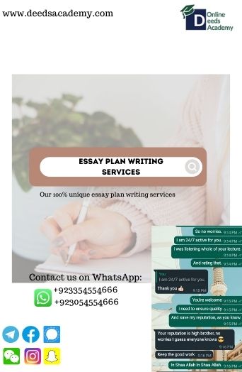 Essay plan writing services